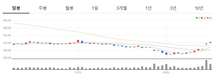 유나이티드헬스그룹 일봉차트