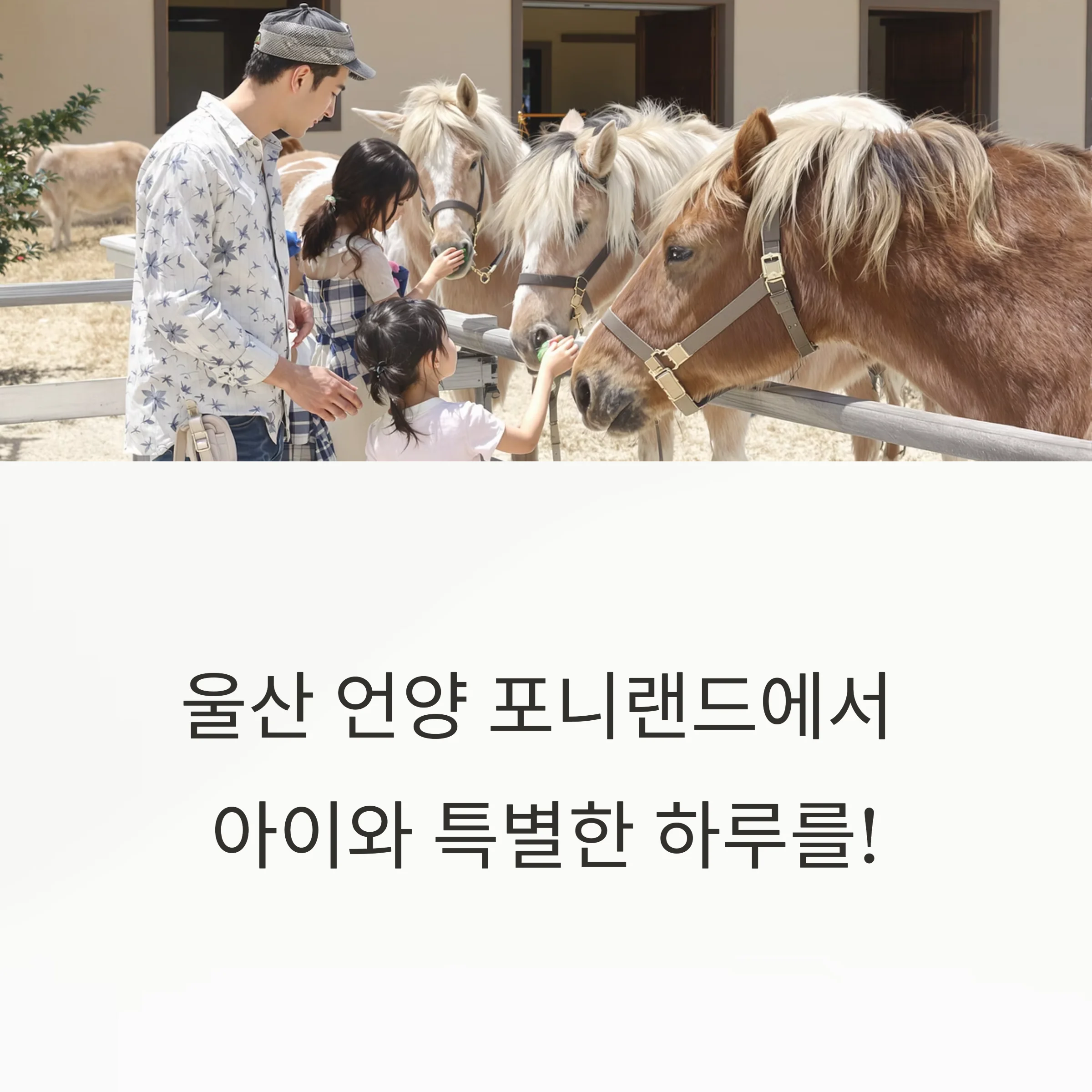 울산 언양 포니랜드 완전정복