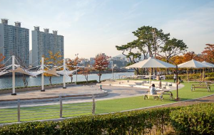 수영강변 산책로를 따라 걷는 반려동물과 보호자의 뒷모습