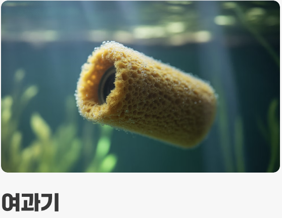 플래티를 위한 아늑한 집 꾸미기