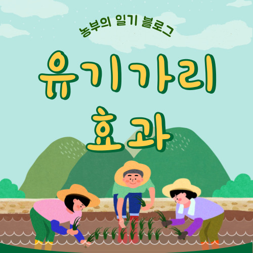 유기가리 효과,사용법,추천 제품