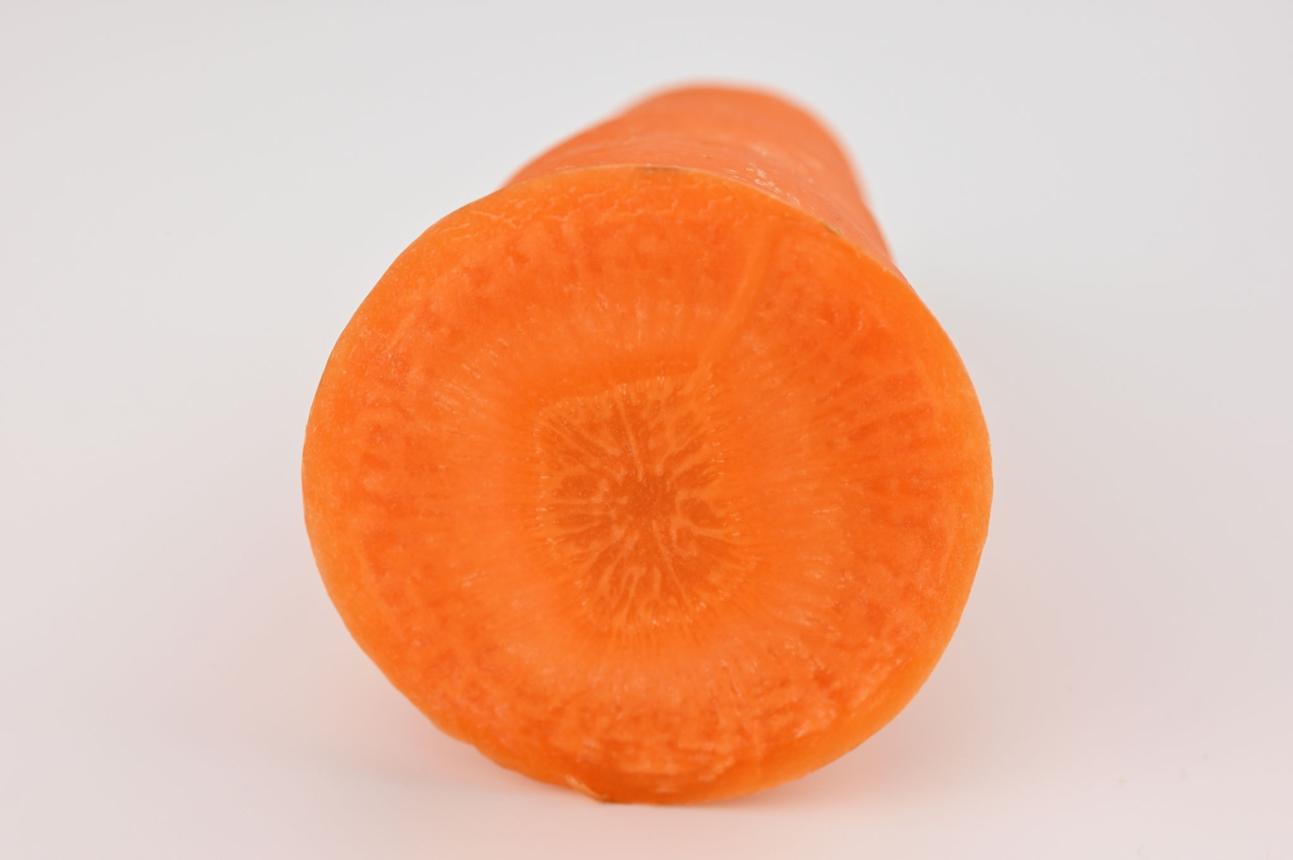 도시텃밭 당근은우리몸에덕일까손해일까?팩트체크