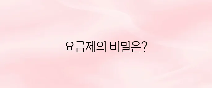 스카이라이프 알뜰폰 요금제 알아보기