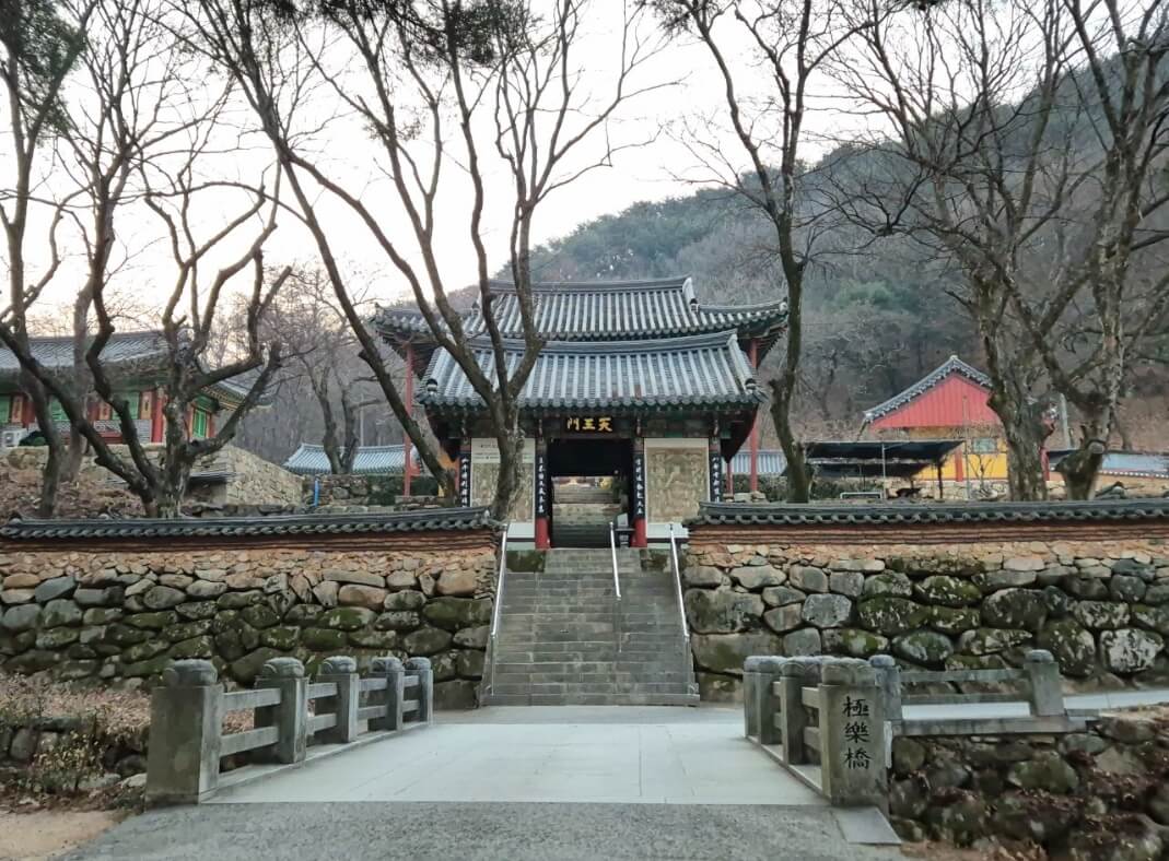 대구 용연사 : 부처님 진신사리를 품은 천년고찰과 적멸보궁 비슬산 자락에 깃든 천년 고찰의 역사와 수행 공간