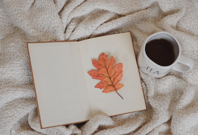 헛개나무 효능 및 부작용, 술 마시기 전 후 언제 먹는 게 좋을까?