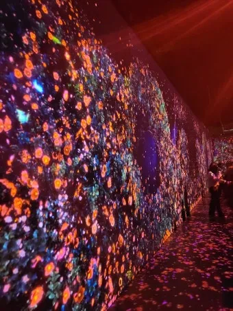 제주도 비올때 가볼만한곳 10곳 추천 실내 관광지로 모음_16