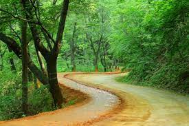 대전 가볼 만한 곳