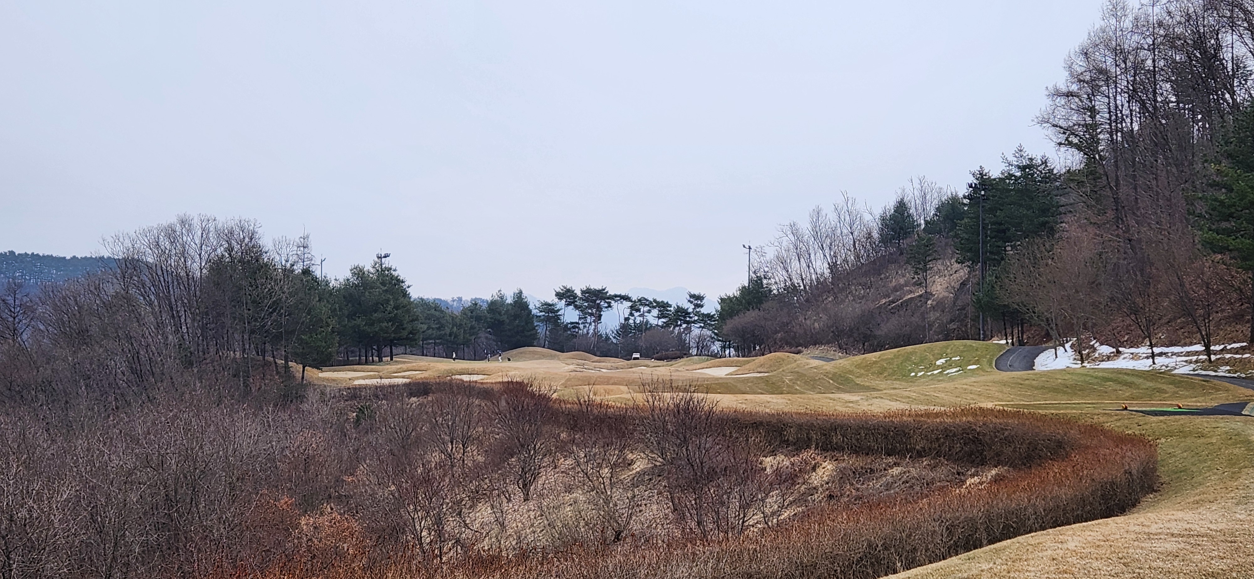 힐드로사이cc