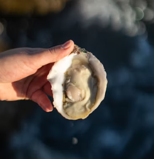 굴 효능 부작용 칼로리