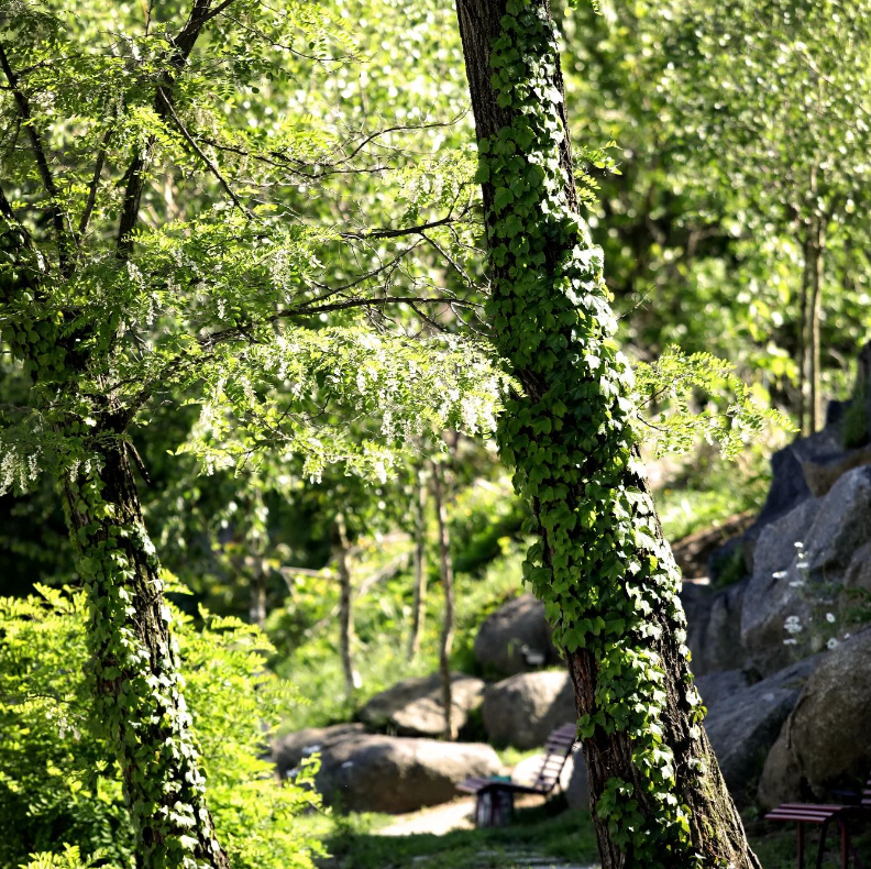경기도 대형 찜질방 추천