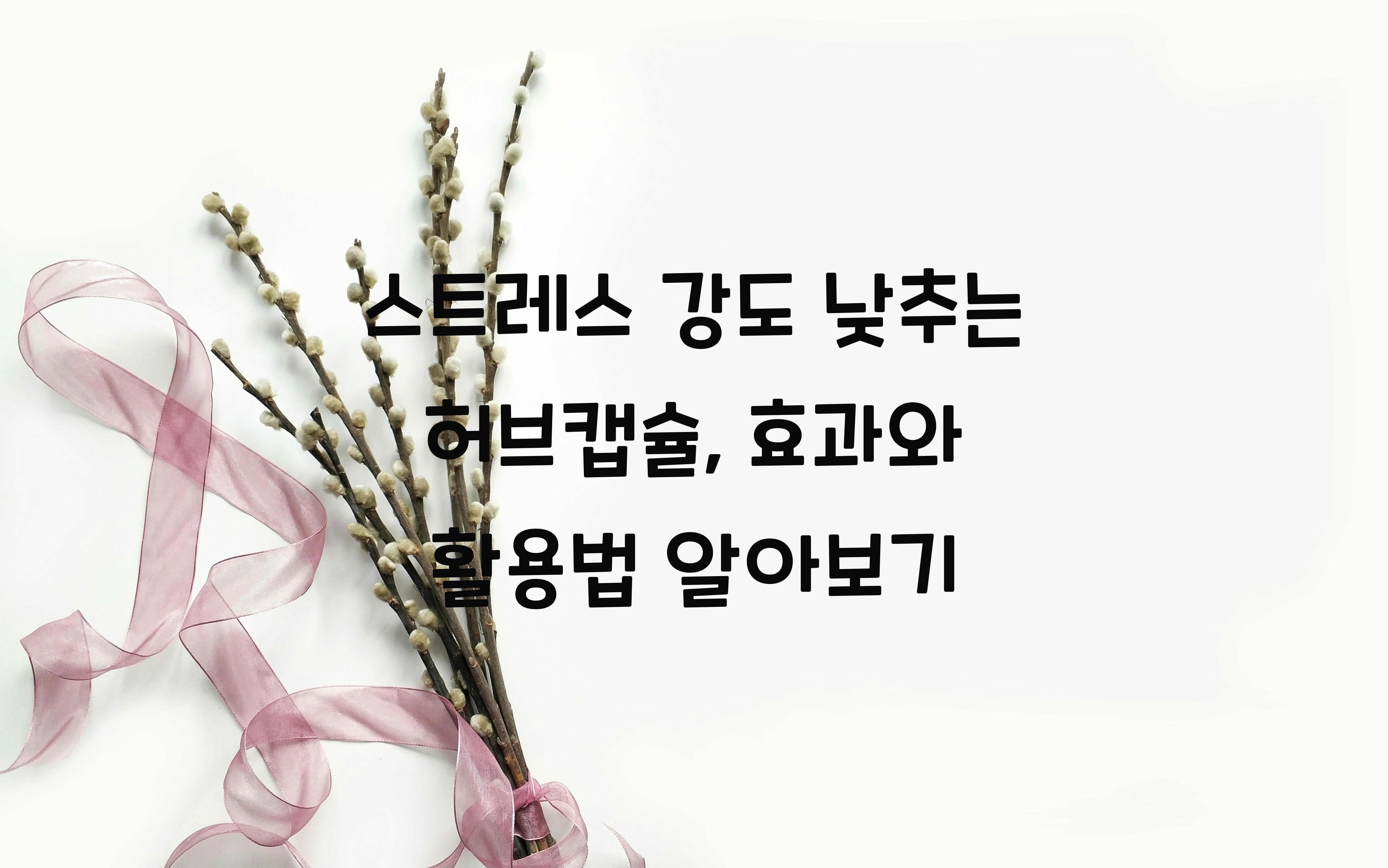 스트레스 강도 낮추는 허브캡슐