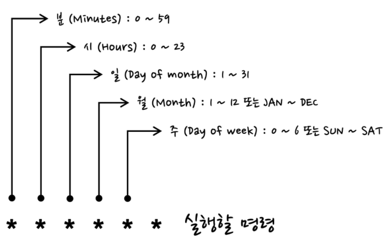 크론명령어