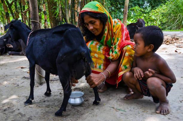 산양유단백질을 먹어야 하는 이유, 근육의 중요성을 알아야 합니다.