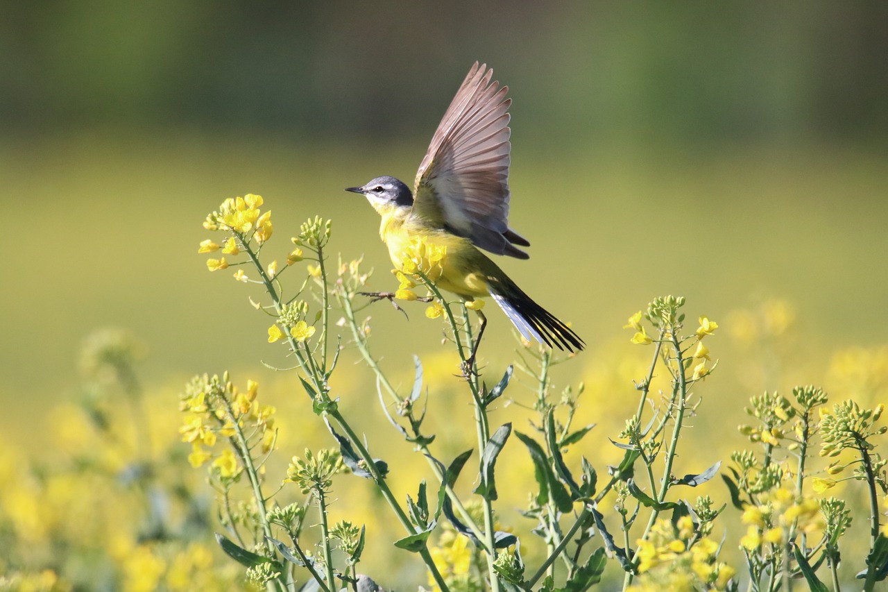 토마토, 오이, 피망 등 과채류 수경재배 가이드