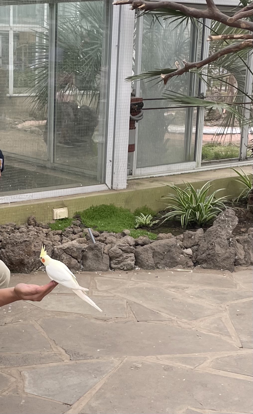 새_먹이주기_체험