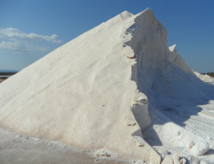 제설용 소금이 지역 생태계에 미치는 영향