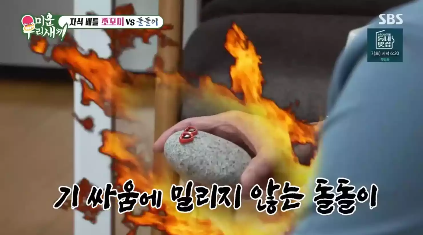 돌돌이