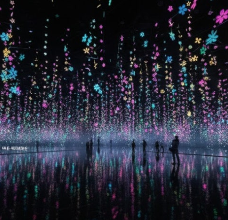 모나용평 이나트