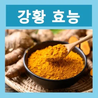 강황가루 효능 건강효과 및 활용방법 정리_19