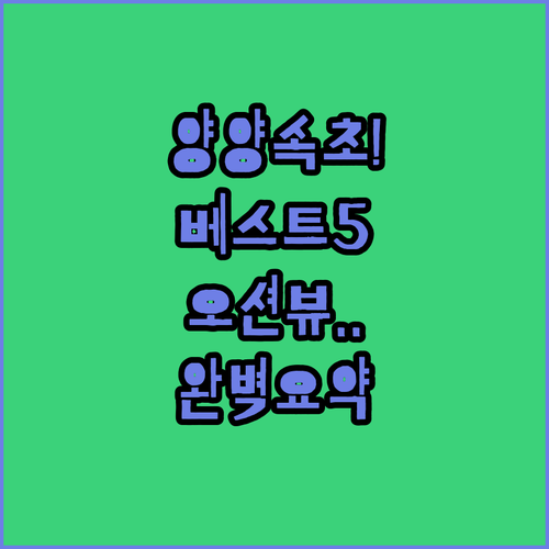 강원도 양양 속초 숙소 베스트 5 특..