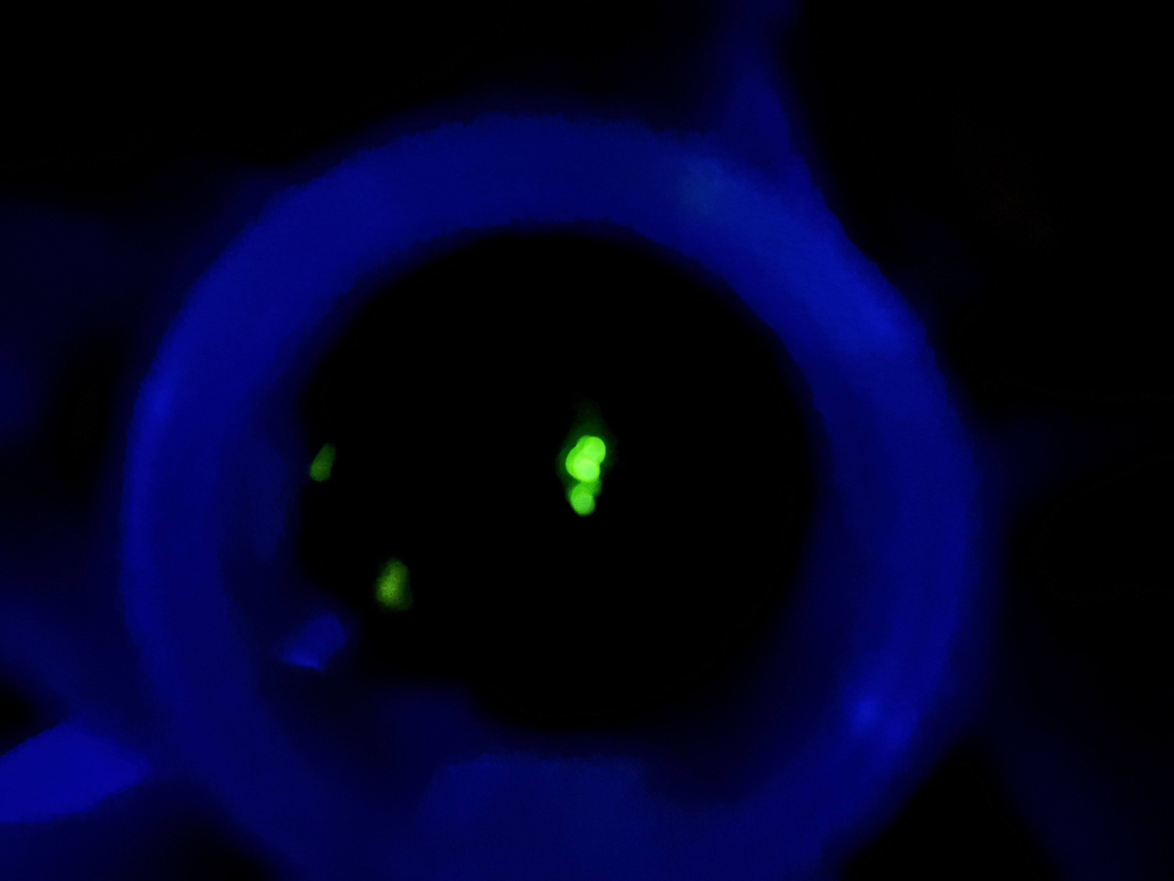 전주자연생태관