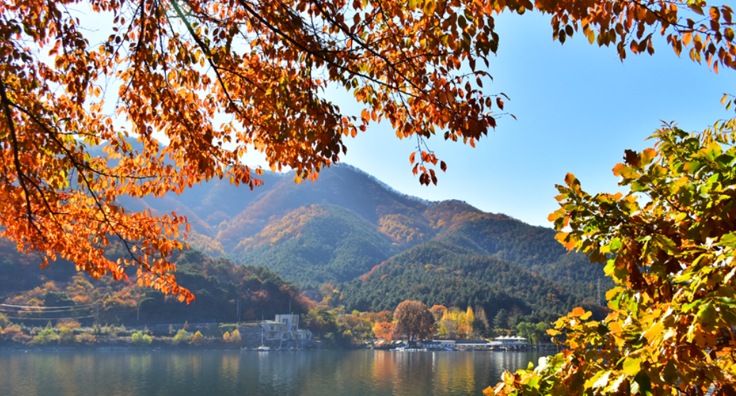서울 근교 최고의 단풍