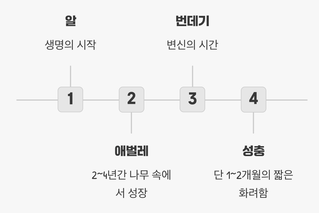 땅속에서 보내는 긴 기다림