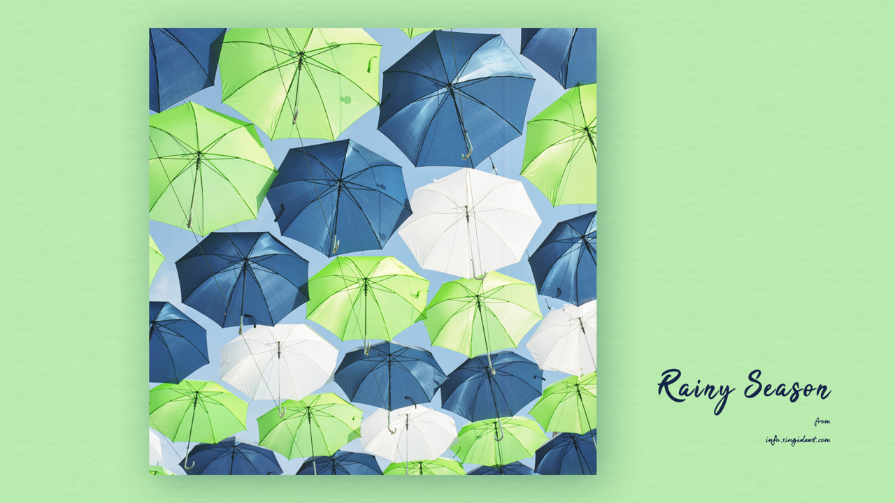 01 우산 C - Rainy Season 비배경화면