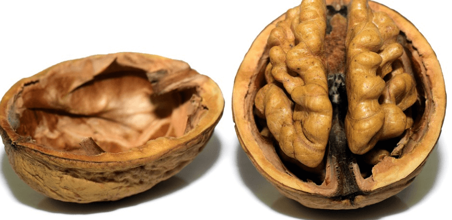 반으로 갈라져 있는 호두