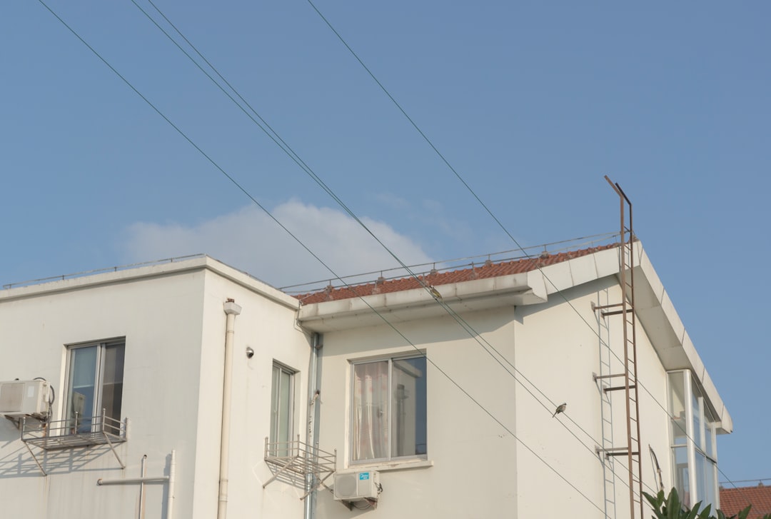 Blue House