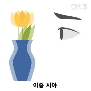 백내장 증상 원인