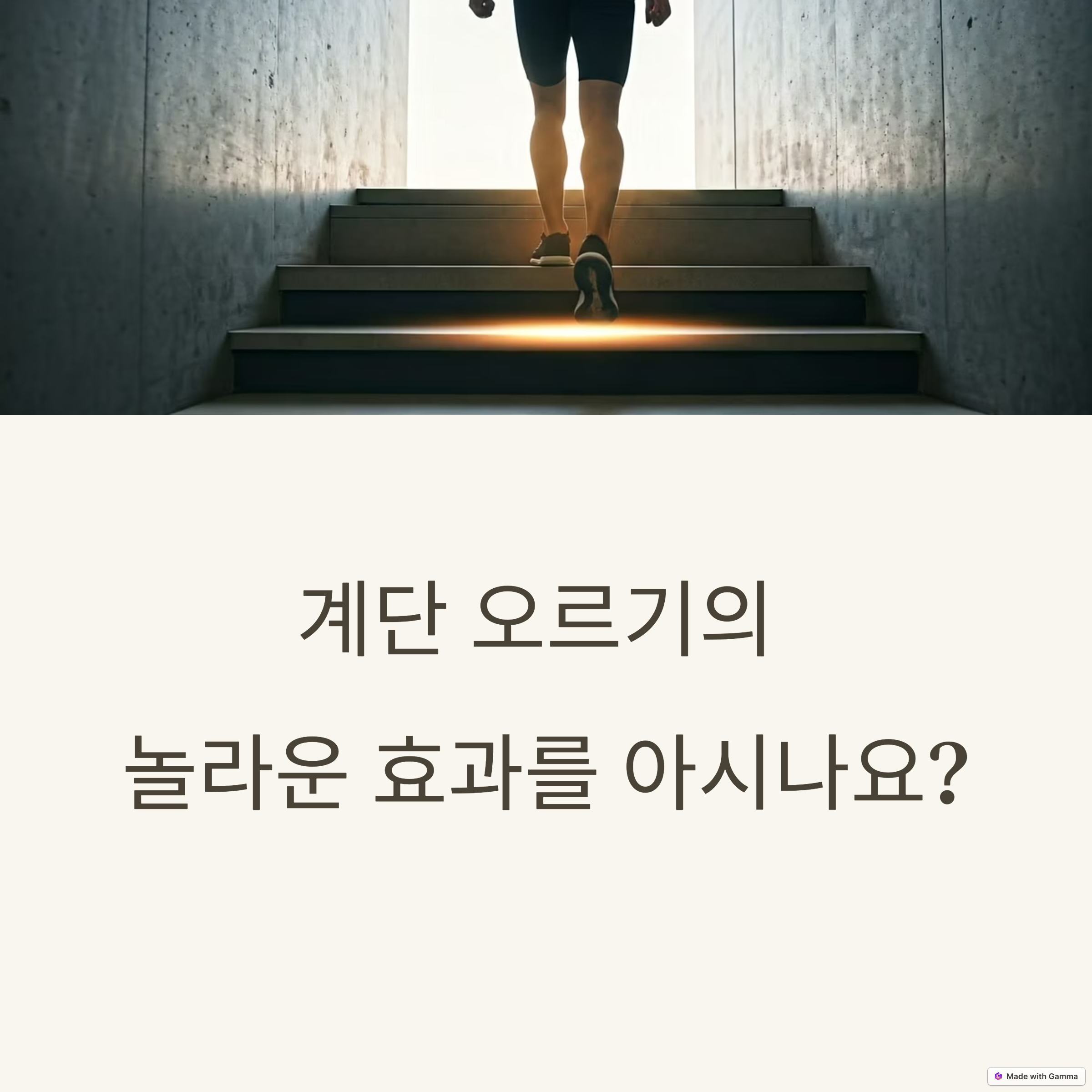 러닝머신보다 효과적인 천국의 계단 다이어트, 알고 계셨나요?