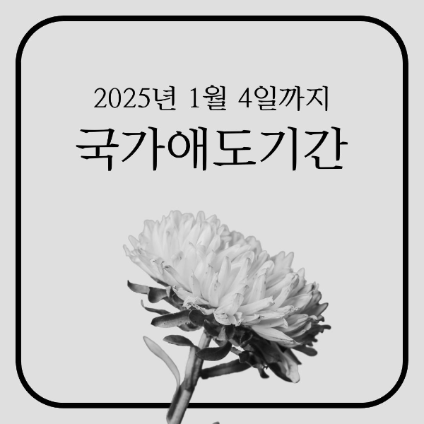 제주항공/여객기/참사/국가애도기간