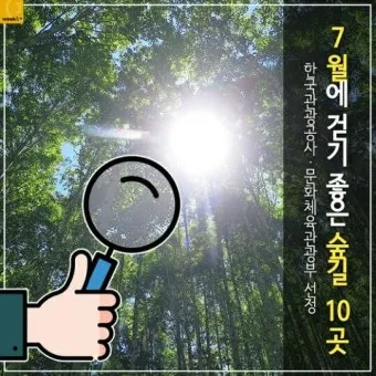 걷기좋은 숲길 50 서울 전남 경북_21