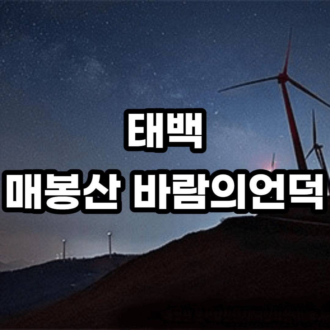 태백 매봉산 바람의언덕