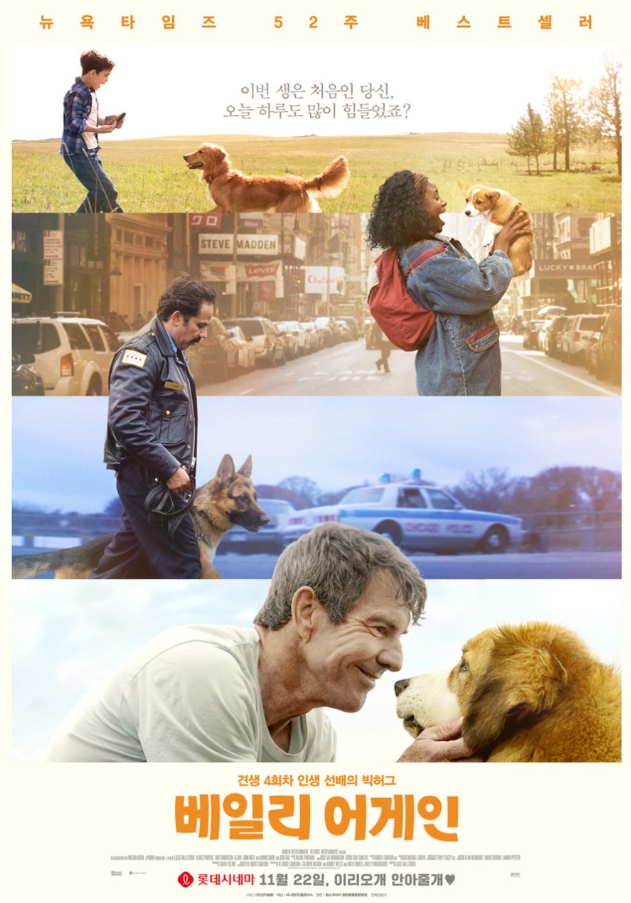 베일리 어게인 영화 관련 포스터