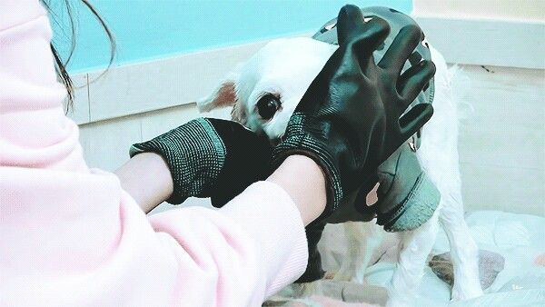 장원영 고화질 사진 모음 장원영 고화질 사진 모음