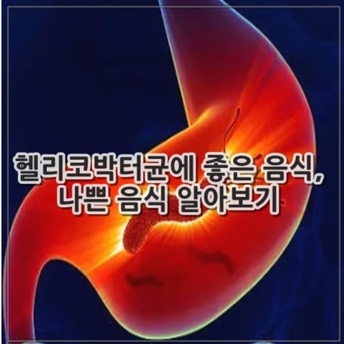 헬리코박터균에 좋은 음식, 나쁜 음식 12가지