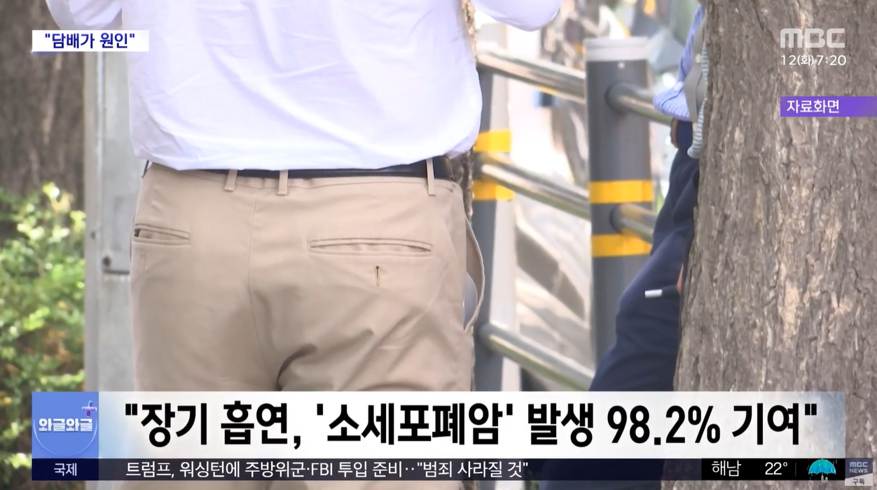 흡연과폐암 소세포폐아 흡연력 장기흡연 금연 건강보험공단