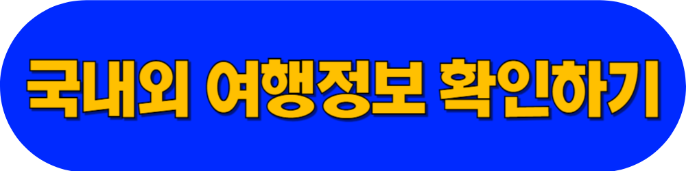 국내외_여행정보_확인하기