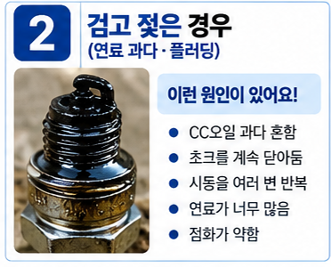 검고 젖은 경우