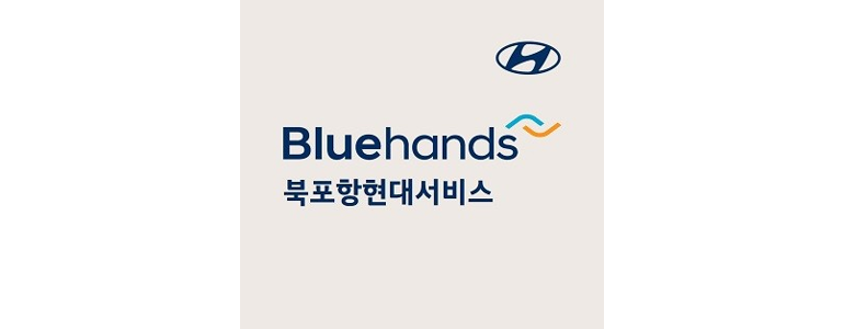 포항시 북구 블루핸즈