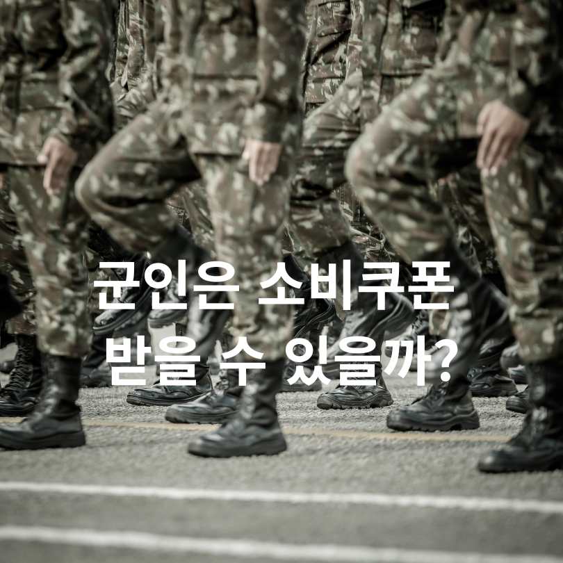 민생회복 소비쿠폰을 PX에서 가능할까?