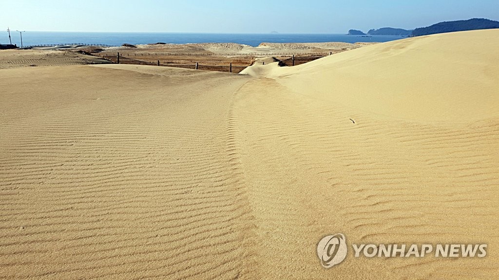 신두리해안사구 풍경
