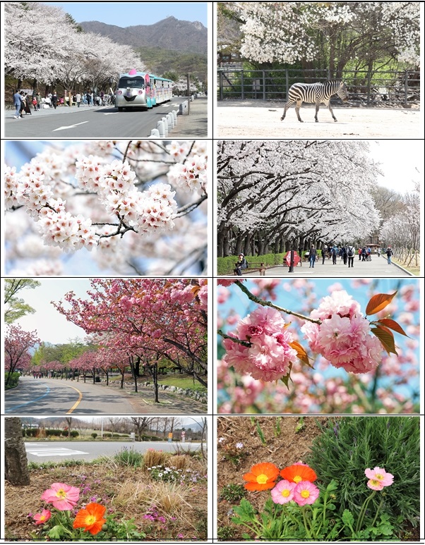 새롭게 단장한 서울의 힐링숲 명소 두군데