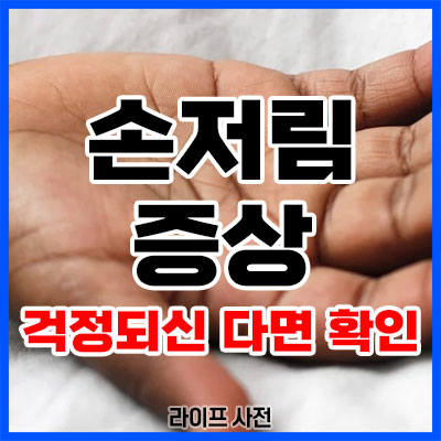 손저림 증상