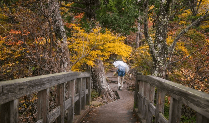 다리 건너는 꿈
다리 끊어지는 꿈