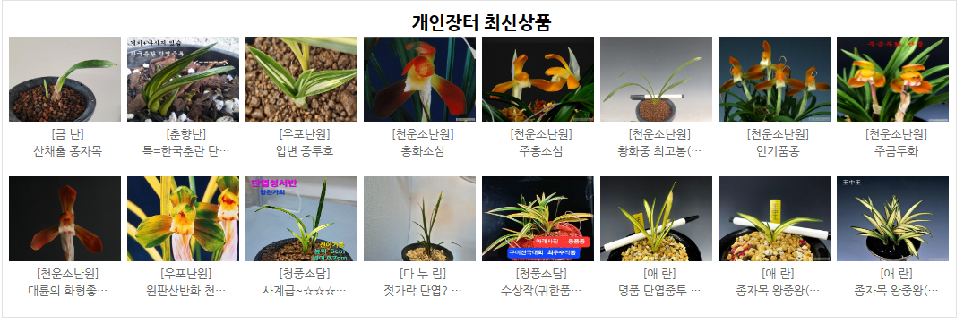 난나라 직거래 장터