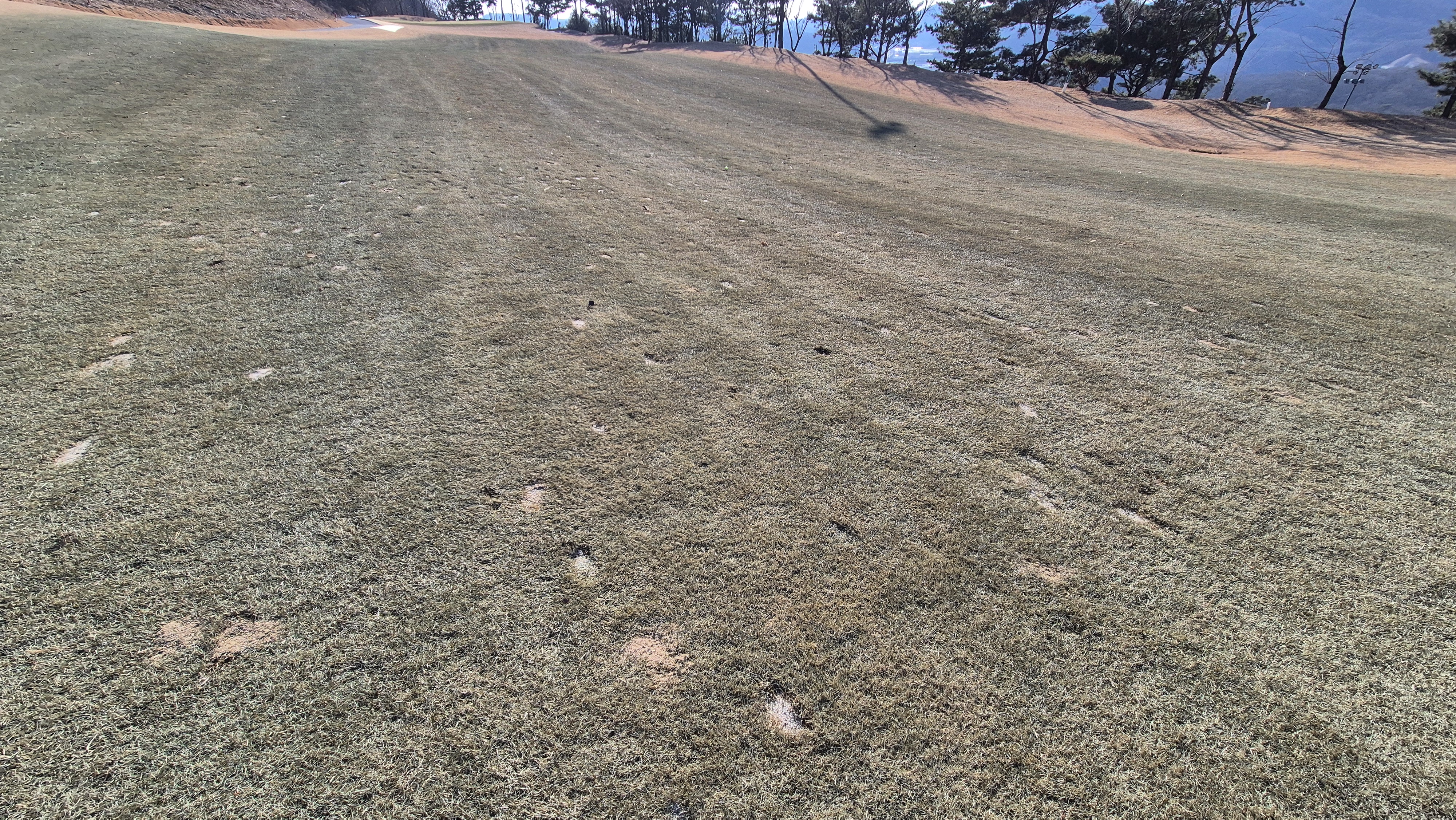 더크로스비gc 아리아-샬롯 코스 난이도