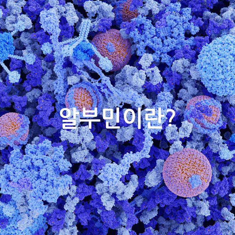 알부민 수치 올리는 법